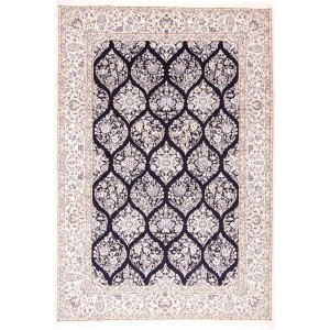 25979 Nain Persian Rugs