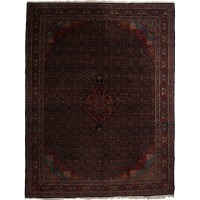 48850 Bidjar Persian 