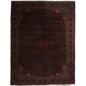 48850 Bidjar Persian 