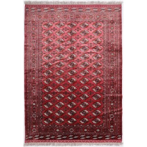 45669 Bokhara Persian 