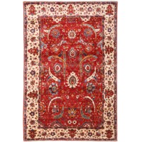 45710 Farahan Pakistani