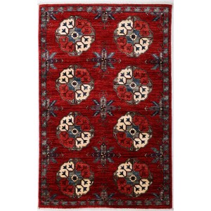 45962 Farahan Pakistani 