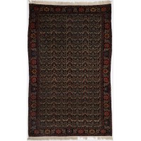 49043 Farahan Persian