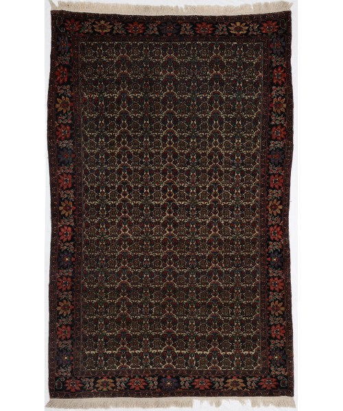 49043 Farahan Persian