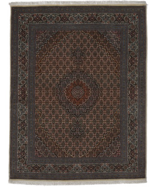 49062 Mahi Persian