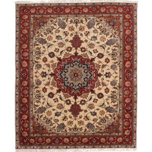 41679 Tabriz Persian Rugs