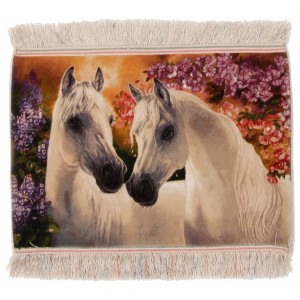 42187 Pictorial Persian 
