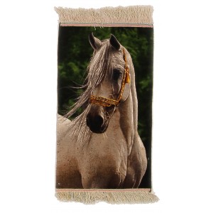42188 Pictorial Persian
