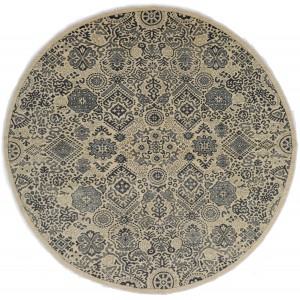 31904 Ziegler Pakistani