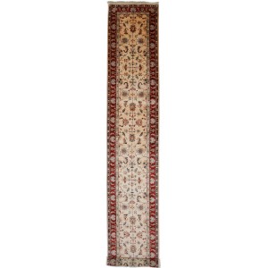 43503 Ziegler Pakistani